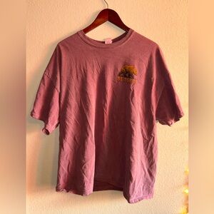 XXL Alaska Purple T Shirt